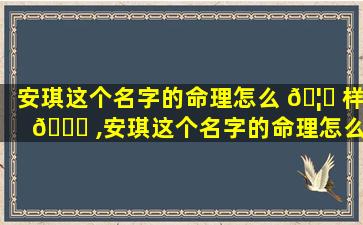 安琪这个名字的命理怎么 🦁 样 🍀 ,安琪这个名字的命理怎么样女孩